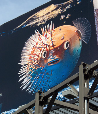 Blowfish sign