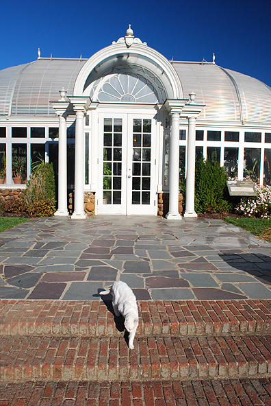  Renalda Greenhouse