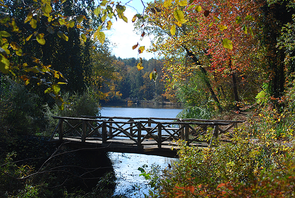 Biltmore grounds